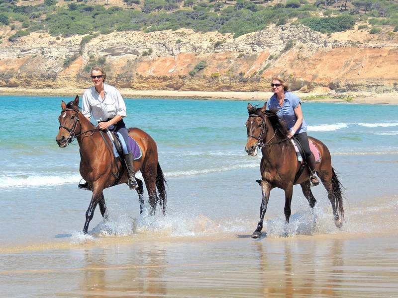 cantering side by side on the beach
