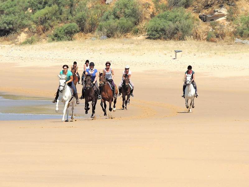 A group galloping on the beach