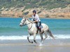 Galloping in the waves