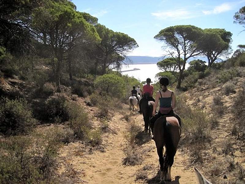 Horse riders walking down the gorge to the beach at Barbate
